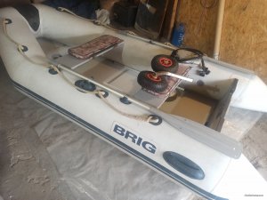 IMG_20201016_094456.jpg