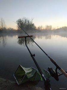 IMG_20210425_053328.jpg