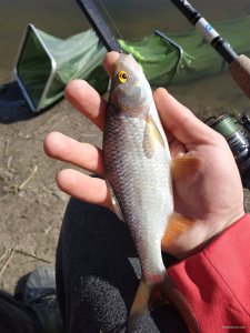 IMG_20210425_092409.jpg
