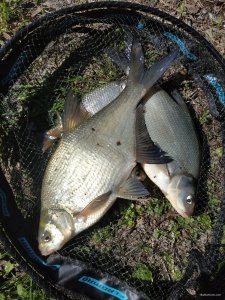 IMG_20210425_100305.jpg