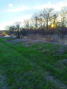 IMG_20210425_183903.jpg