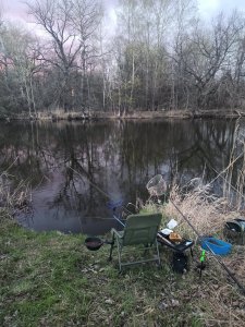 IMG_20210424_193919.jpg