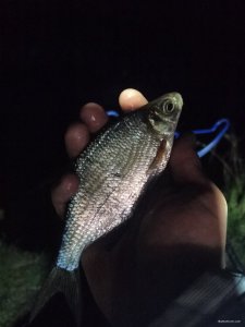 IMG_20210424_205256.jpg