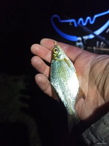 IMG_20210424_210944.jpg