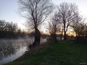 IMG-53ce6a970acdc8b5764eece27f0c2de9-V.jpg