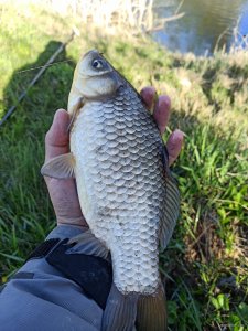 IMG_20210425_081727.jpg
