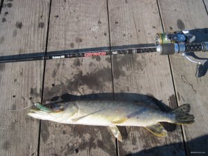 IMG_5224.JPG
