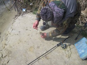 IMG_5232.JPG