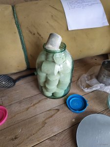 IMG_20210501_115839.jpg