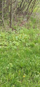 20210503_123923.jpg