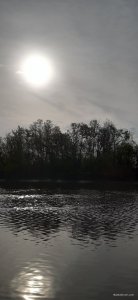 20210503_074442.jpg