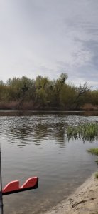 20210503_074436.jpg