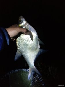IMG_20210506_234405.jpg