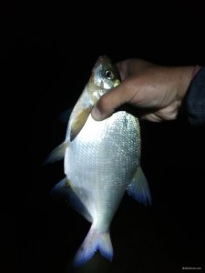 IMG_20210506_205722.jpg