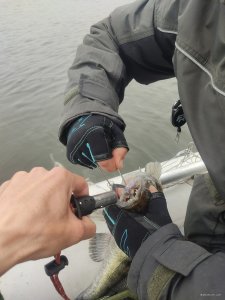IMG_20210508_094947.jpg