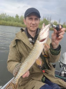IMG_20210508_115439.jpg
