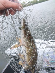 IMG_20210508_111240.jpg