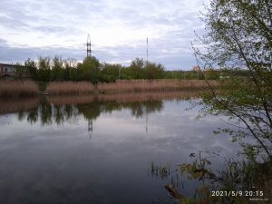 IMG_20210509_201528.jpg