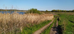 IMG_20210510_074848.jpg