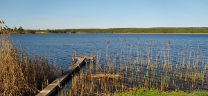 IMG_20210510_074943.jpg