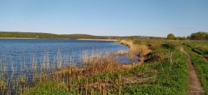 IMG_20210510_074947.jpg