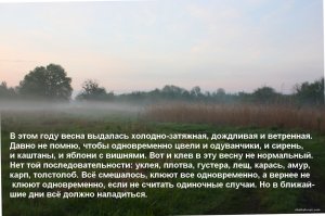 IMG_5458.JPG