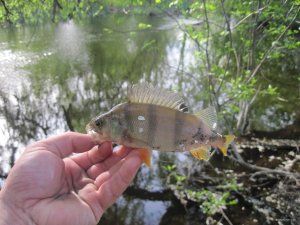 IMG_5345.JPG