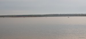 20210515_071659.jpg