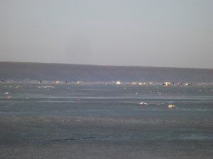 DSCF7590.JPG