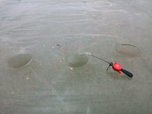 DSC_0126.jpg