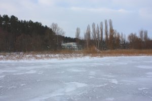 Копия 55 010.jpg