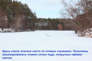 Копия 55 029.jpg