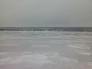 IMG_20130331_071201.jpg