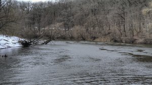 _SAM3045_6_7_1080.jpg