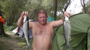 DSC02007.JPG