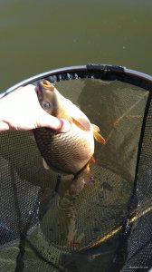IMG_20210516_090937.jpg
