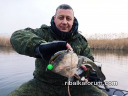 олег.jpg