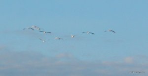 IMG_5545.JPG