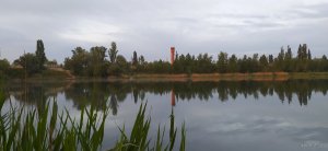 IMG_20210524_044144.jpg