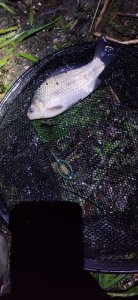 IMG20210524013705.jpg