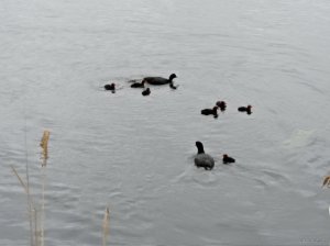IMG_20210518_121150.jpg