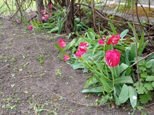 IMG_20210523_170344.jpg