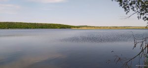 IMG_20210526_101803.jpg