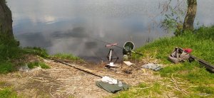 IMG_20210526_113505.jpg