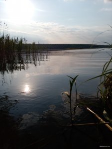 IMG_20210526_182218.jpg