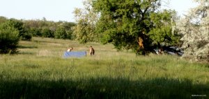IMG_5558.JPG