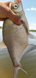 IMG_20210528_130556.jpg
