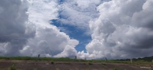 IMG_20210607_113935.jpg