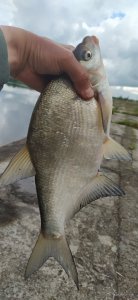 IMG_20210607_112945.jpg