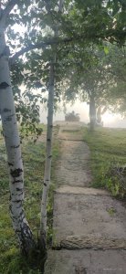 IMG_20210613_054453.jpg
